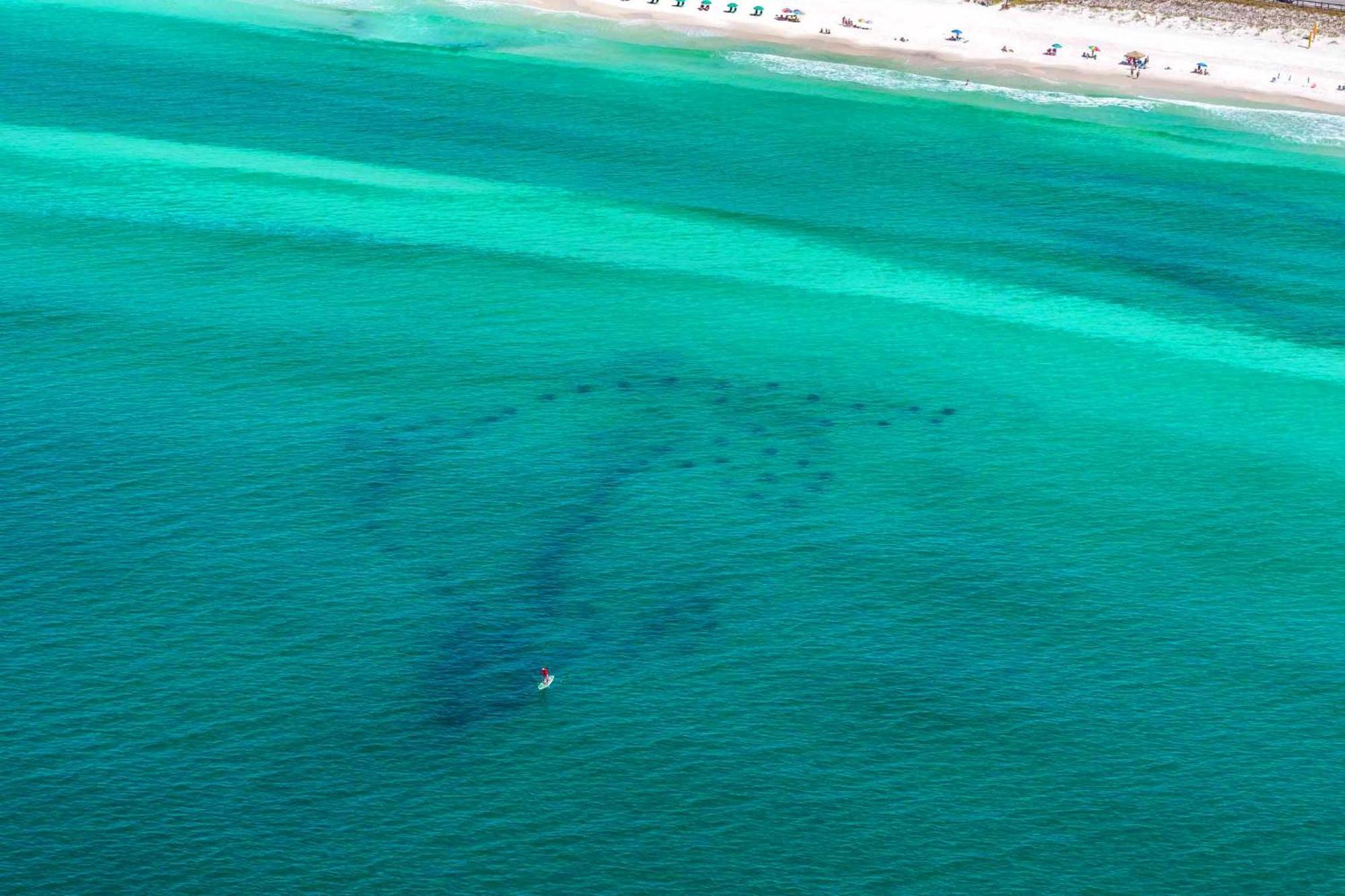 Ariel Dunes I 1502 Destin Exteriör bild